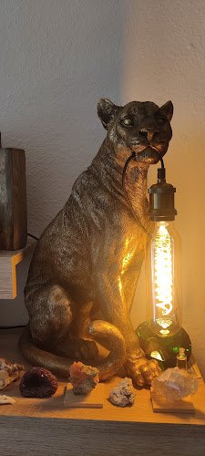 AF1QipOJ3ihOD2IEDNPE3tljl1lZz01U9Ktvla1hakIyw800-h500-k-no.jpg