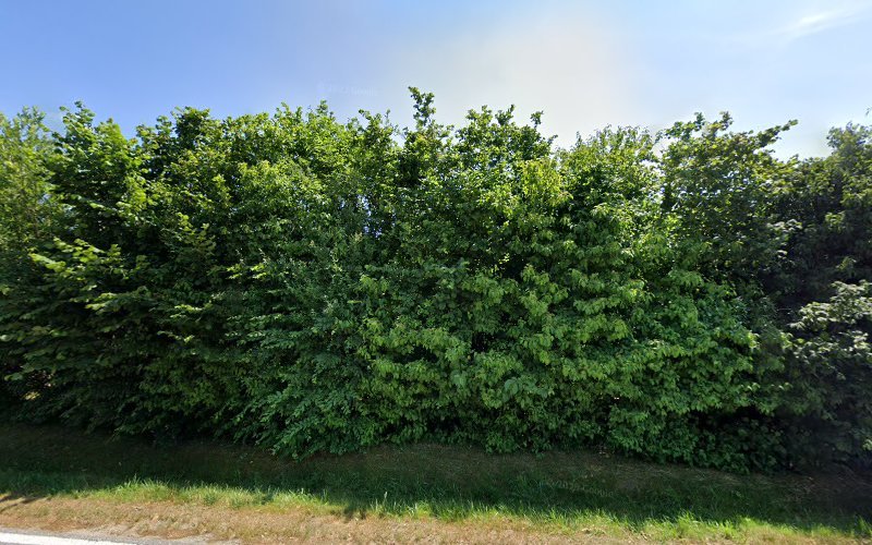 thumbnail-1209.jpg