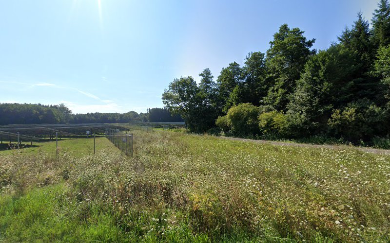 thumbnail-5350.jpg