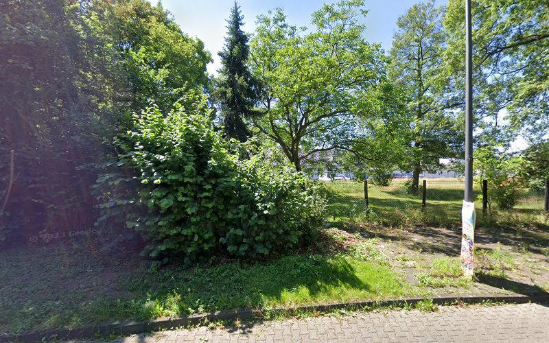 thumbnail-6028.jpg