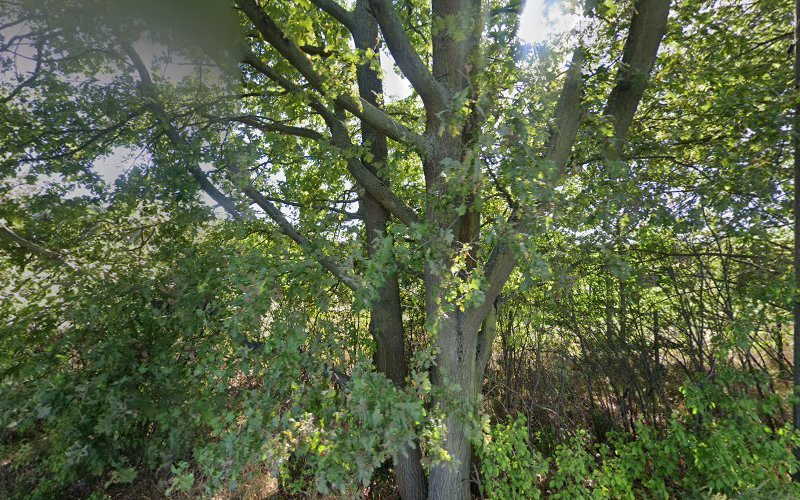 thumbnail-6123.jpg