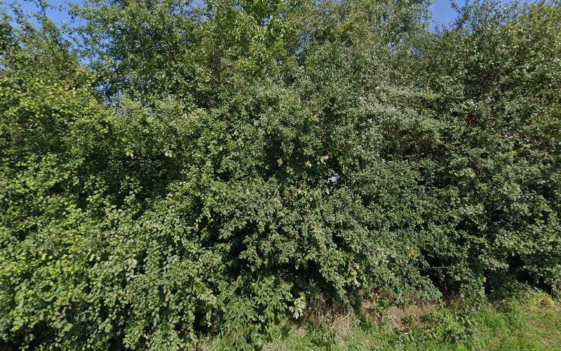 thumbnail-6254.jpg