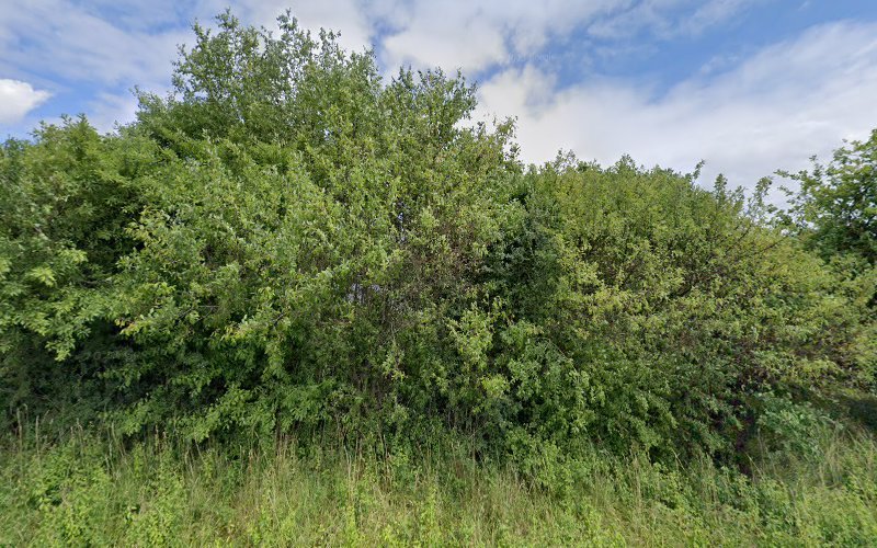 thumbnail-6398.jpg